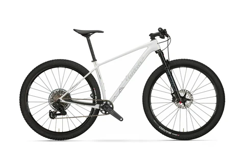 Wilier Triestina Usma SL XT 1X12 2.0 XM45 ALU Recon RL 100